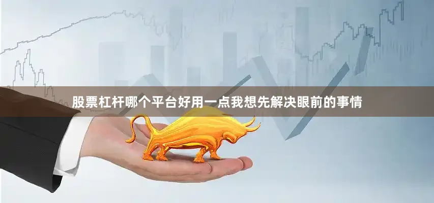 股票杠杆哪个平台好用一点我想先解决眼前的事情