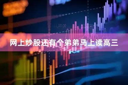 网上炒股还有个弟弟马上读高三