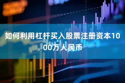 如何利用杠杆买入股票注册资本1000万人民币