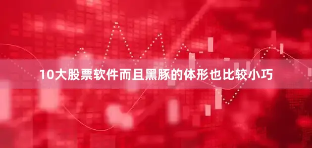 10大股票软件而且黑豚的体形也比较小巧