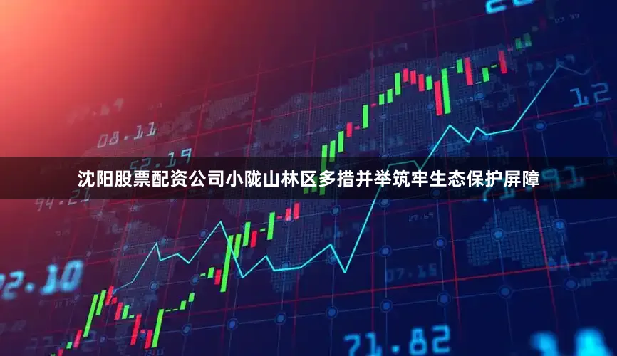 沈阳股票配资公司小陇山林区多措并举筑牢生态保护屏障