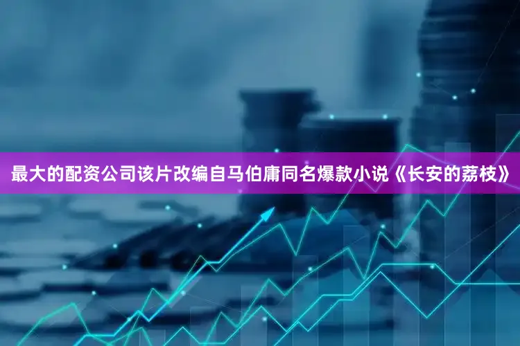 最大的配资公司该片改编自马伯庸同名爆款小说《长安的荔枝》